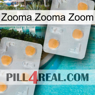 Zooma Zooma Zoom 25